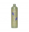 Shampoo antigiallo cap. decolorati e grigi echosline 1000ml