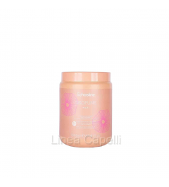 Maschera Capelli professionale DISCIPLINE SELIAR cacao e argan 1000 ml 